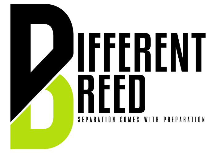 Different Breed Performance Training Logo